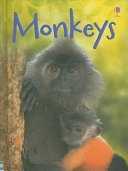 Monkeys cover