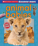 Animal Babies cover
