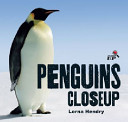 Penguins Closeup cover