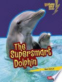 The Supersmart Dolphin cover
