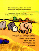 The Elephants' Ears cover