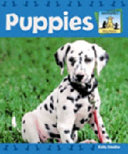 Puppies cover