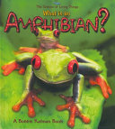 What Is an Amphibian? cover