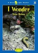 I Wonder cover
