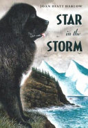 Star in the Storm cover