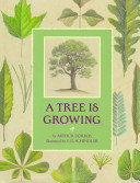 A Tree Is Growing cover