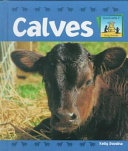 Calves cover