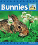 Bunnies cover