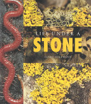 Life Under a Stone cover