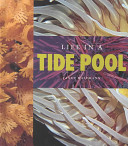 Life in a Tidepool cover