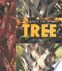 Life in a Tree cover