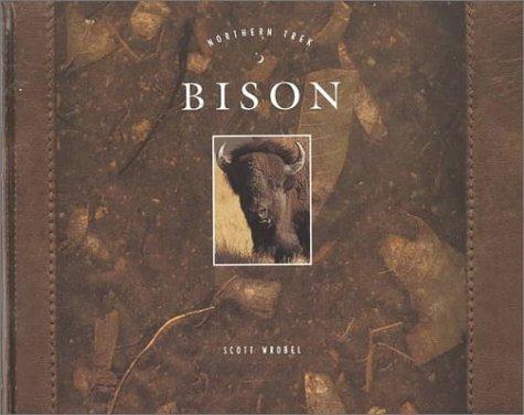Bison cover