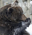 Brown Bears (Smart Apple Media) cover