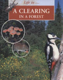 A Clearing in the Forest cover