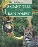 A Giant Tree in the Rain Forest cover