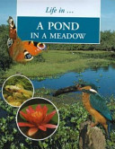 A Pond in the Meadow cover