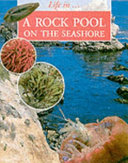 A Tide Pool on the Seashore cover