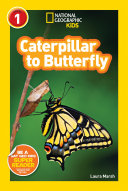 Caterpillar to Butterfly cover