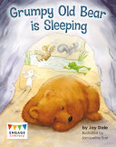 Grumpy Old Bear is Sleeping cover