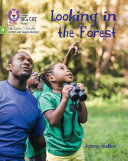 Looking in the Forest cover