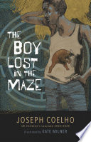 The Boy Lost in the Maze cover