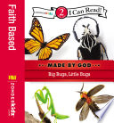 Big Bugs, Little Bugs cover