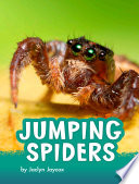 Jumping Spiders cover