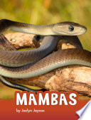 Mambas cover
