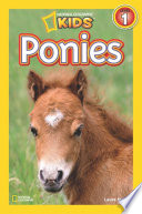 Ponies cover