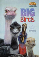 Big Birds cover