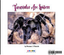 Tarantulas Are Spiders cover
