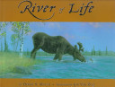 River of Life cover