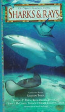 Sharks & Rays cover