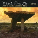 What Life Was Like Among Druids and High Kings cover
