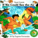 If We Could See the Air cover