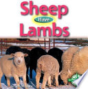 Sheep Have Lambs cover