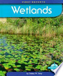 Wetlands cover