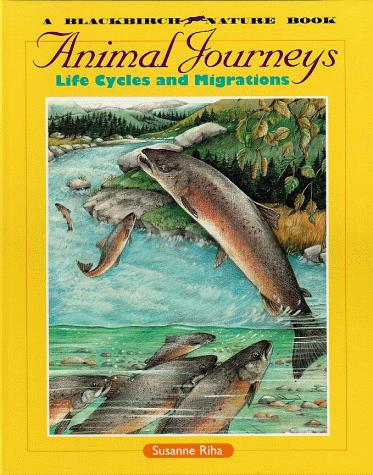 Animal Journeys: Life Cycles and Migrations cover