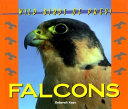 Falcons cover