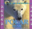 Polar Bear cover