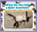 What Do You Call a Baby Scorpion? cover