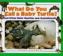 What Do You Call a Baby Turtle? cover