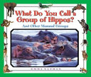 What Do You Call a Group of Hippos? cover