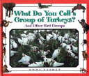 What Do You Call a Group of Turkeys? cover