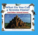 What Do You Call a Termite Home? cover