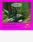 Swans cover