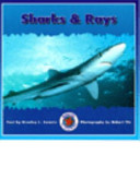 Sharks & Rays cover