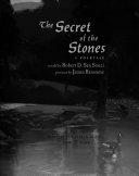 The Secret of the Stones cover