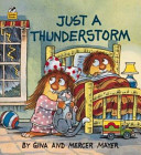 Just a Thunderstorm cover