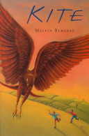 Kite cover
